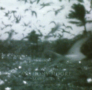 Anthony Moore - Mare's Tail LP