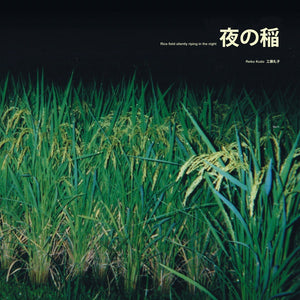 Reiko Kudo - Rice Field Silently Riping In The Night LP