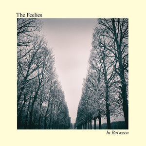 The Feelies - In Between LP